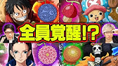 チョッパー ヒトヒトの実で完全な人になれないのはおかしい チョッパーの悪魔の実考察してみた Youtube チョッパー ヒトヒトの実で完全な人になれないのはおかしい チョッパーの悪魔の実考察してみた Youtube
