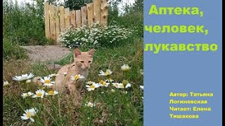 Стихи о жизни. Аптека, человек, лукавство. Татьяна Логиновская