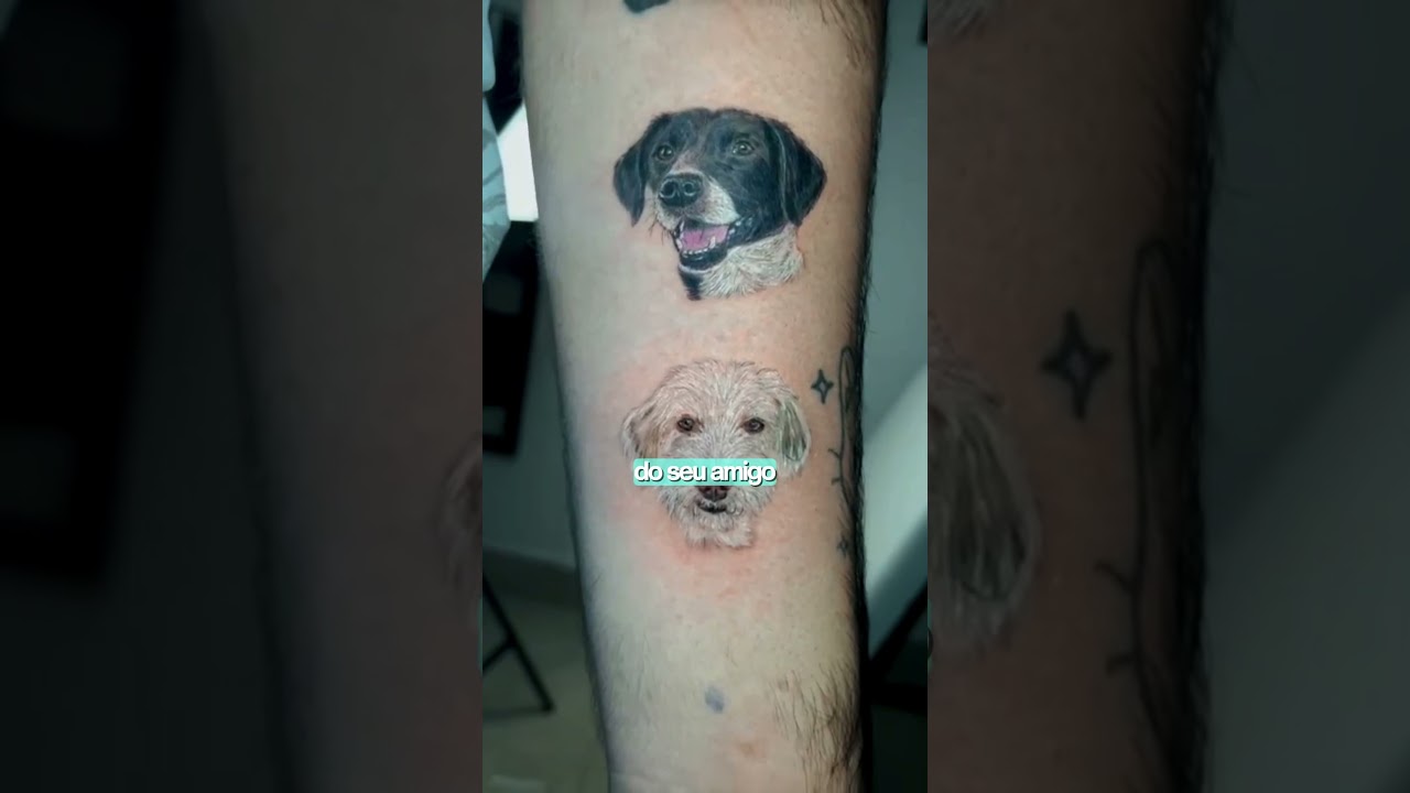Video 6