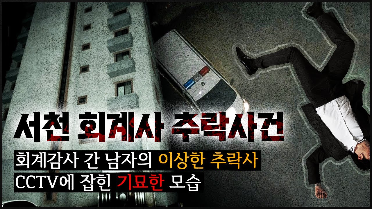 [회계사 추락 사건]  