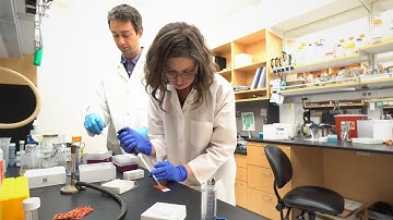 Caltech Collaboration Yields 3D View of Bacterial Infection