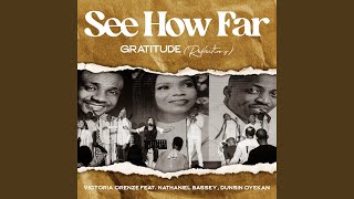 See How Far: Gratitude (Reflections)