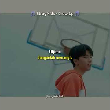 Story wa stray kids grow up