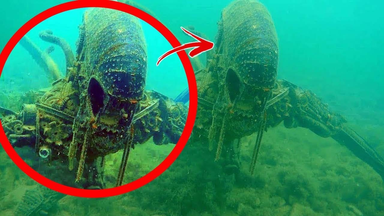 Top 5 Terrifying Things Found In The Ocean 