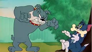 Tom And Jerry Cartoon Episode 53 - The Framed Cat 1950 - Funny Animals Cartoons For Kids