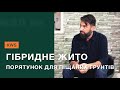 Гібридне жито, як порятунок для господарств з піщаними ґрунтами. ЖВЛ #8