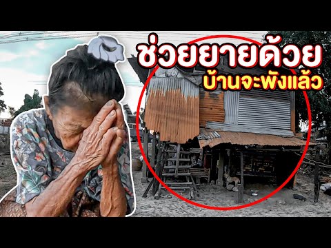 วีดีโอ: ปากกาหมาของชาวอเมริกันฮีโร่ติดต่อกับประธานเพื่อหยุดการผลิตลูกสุนัข