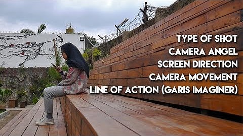 Type of Shot - Camera Angel - Camera Movement - Line of Action - Screen Direction