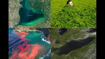 Algal Blooms and Eutrophication