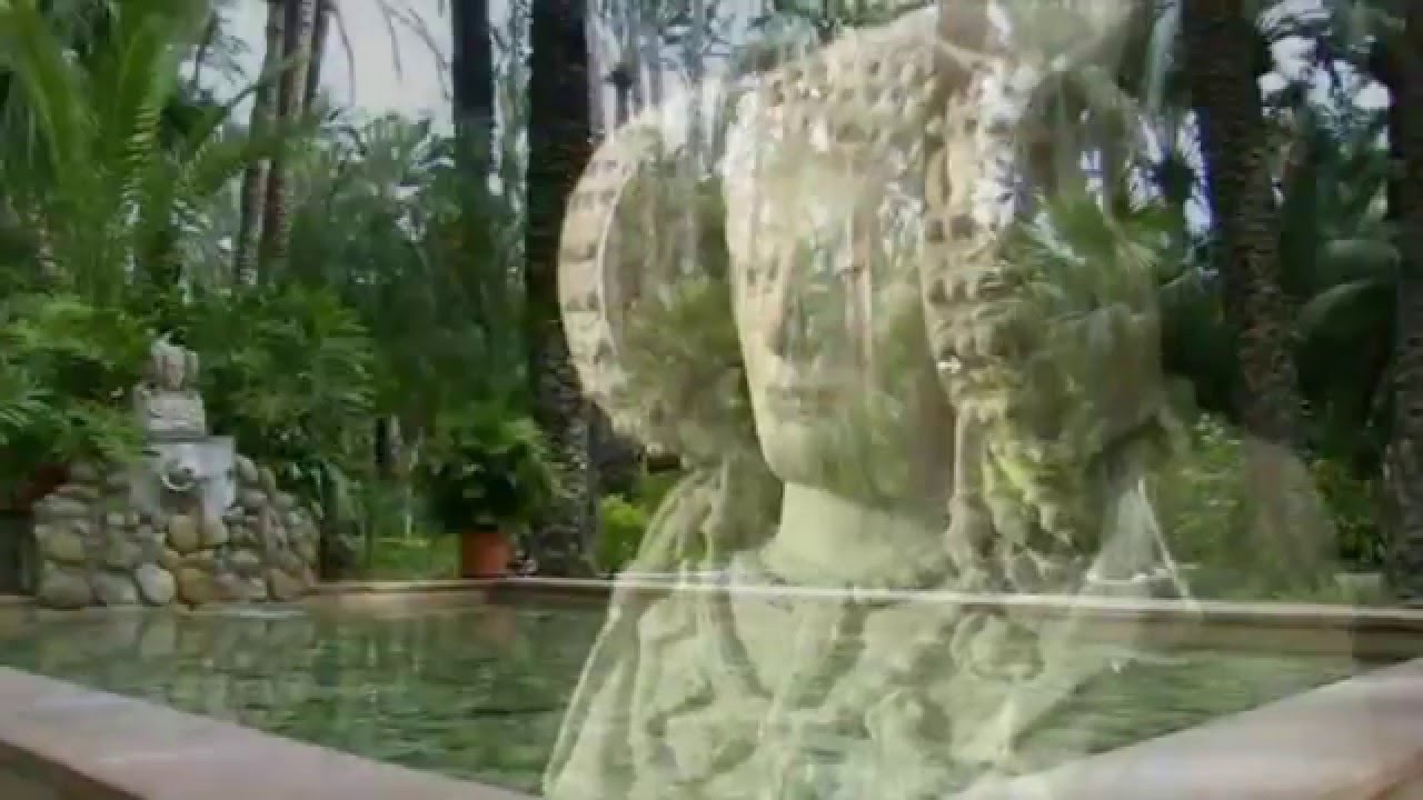 ELX.ELCHE,AROMAS ILICITANOS,HIMNO ELCHE CF,NIT DE L'ALBA,MISTERI,