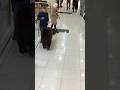 Bear Walks Around Mall In Russia No One Cares Bear Walks Around Mall In Russia No One Cares