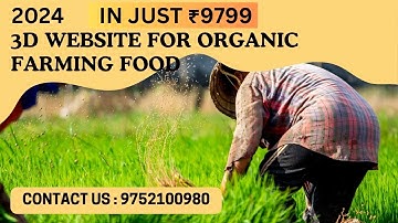 Upgrade Your Business: 3D Websites with SEO & Social Media