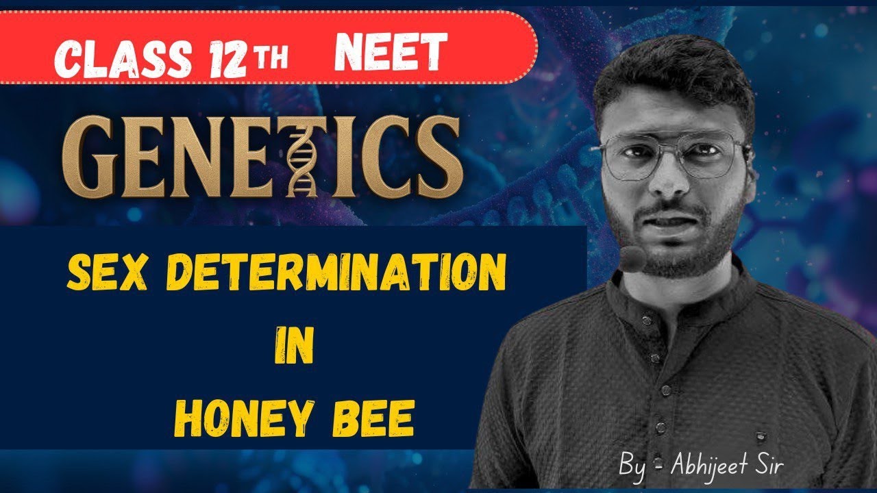 Sex determination in Honey Bee | Genetics | Class-12th NEET | Atomic life | By - Abhijeet Sir 