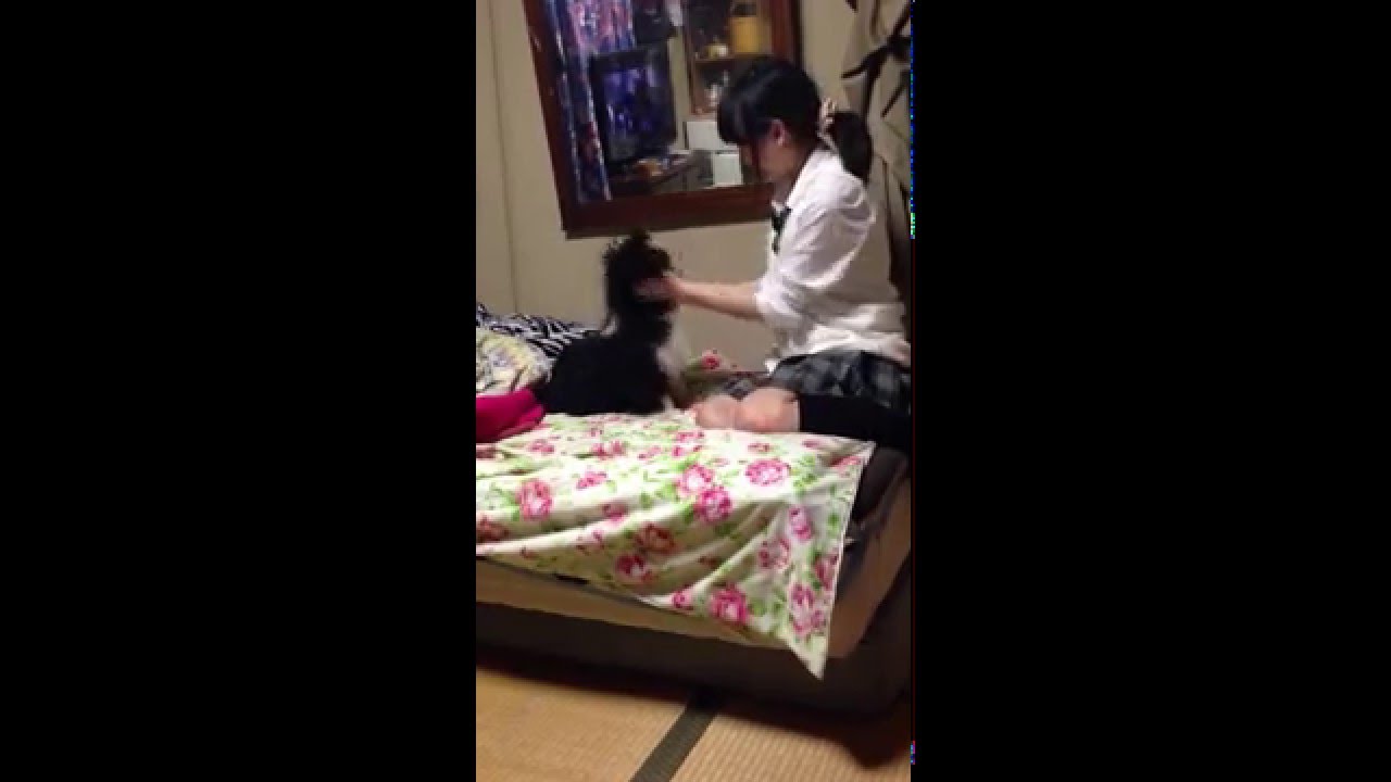 rie kaneko with chippy (shih tzu) 101