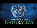 Carlos Molina | Carta Mundial de la Naturaleza