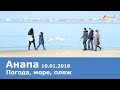 Анапа. Погода 10.01.2018 Море, центральный пляж, лебеди. Тёплый солнечный день в Анапе