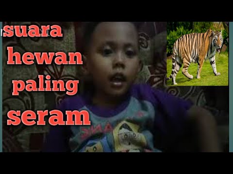  Nama  Dan suara hewan  Mana yg  paling seram YouTube