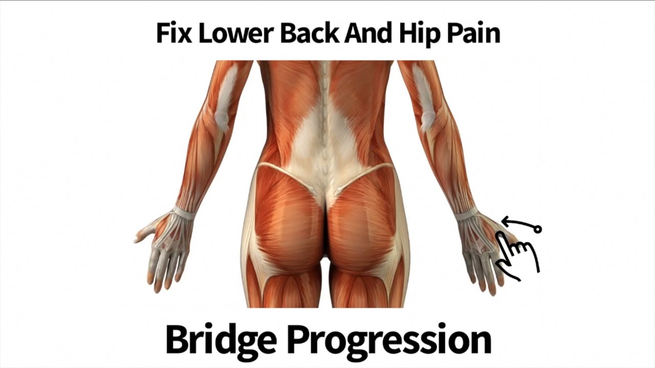 Fix Lower Back And Hip Pain Bridge Progression Youtube