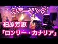 柏原芳恵「ロンリー・カナリア」カバー