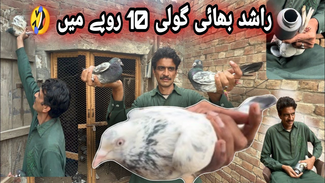 rashid-bhai-ny-10-rupees-wali-parwazi-goli-bna-li-youtube