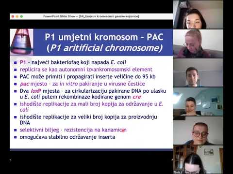 Prof Gordan Lauc: Umjetni kromosomi i genske knjižnice