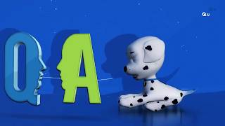 Why Do Dogs Dig? - Q&A
