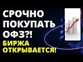 Покупать ОФЗ на открытии биржи? Инвестиции в облигации.