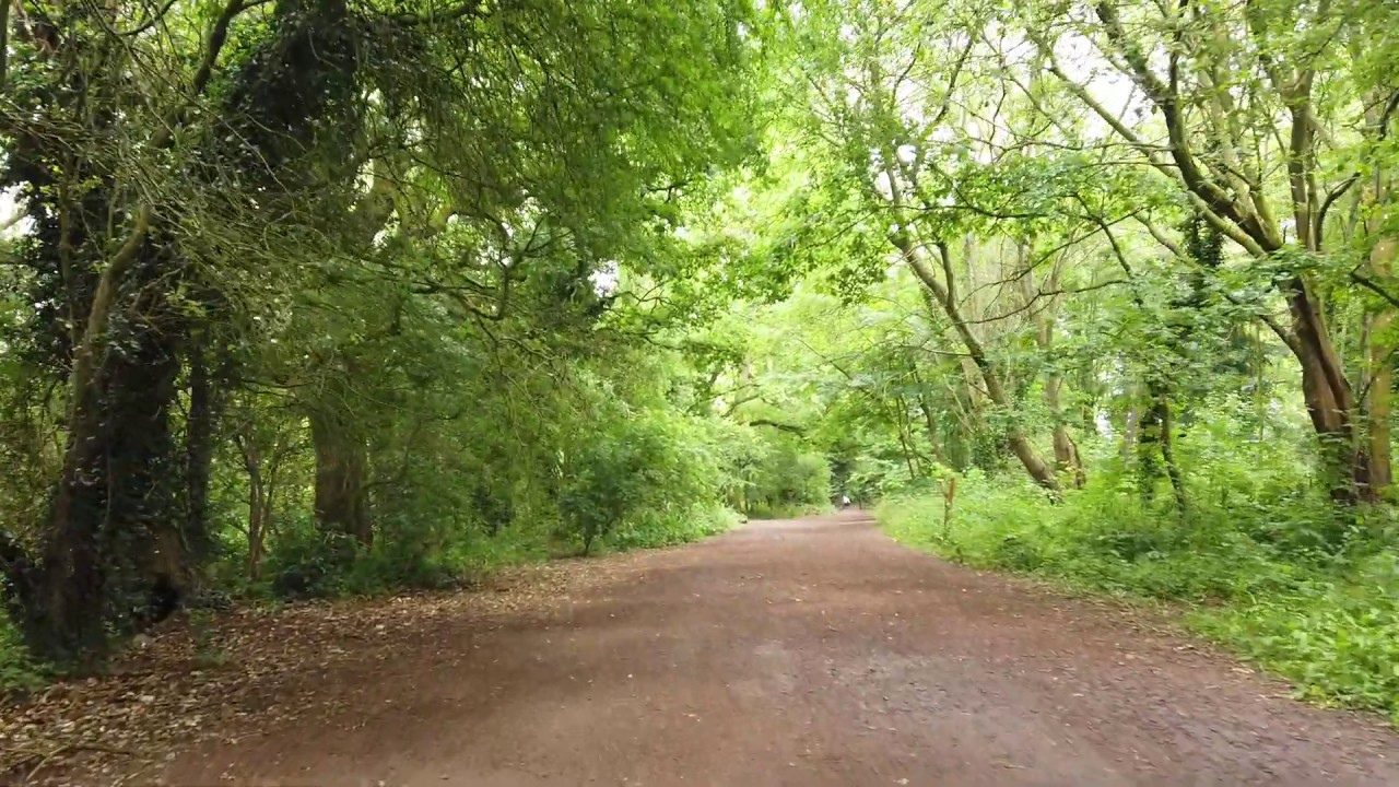 Rainy Walk in the Park - Coate Water