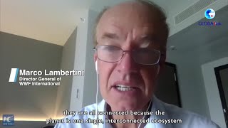 GLOBALink | WWF International calls for global action to avoid "triple crisis"