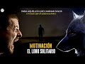 Motivación Para Aquellos Que CAMINAN SOLOS | Está Bien Ser Un LOBO SOLITARIO