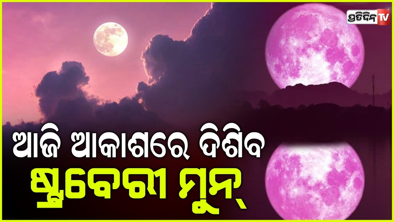 ଆକାଶରେ ଦୃଶ୍ୟମାନ ହେବ ଷ୍ଟ୍ରବେରୀ ମୁନ୍‌, ଶନିବାର ଯାଏଁ ରହିବ ଗୋଲ, ଦିଶିବ ଉଜ୍ୱଳ | strawberry full moon .