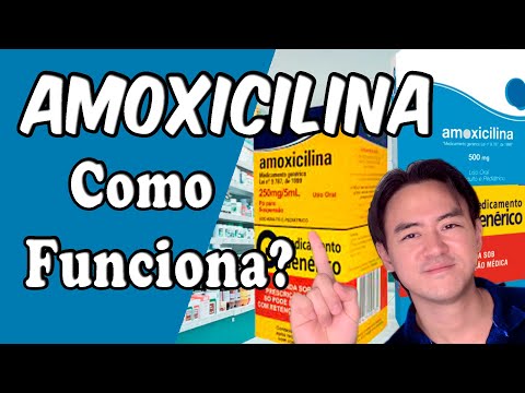 amoxicilina como funciona?