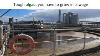 Who gives a s**t about sewage anymore? | Nicholas Paul | TEDxJCUCairns