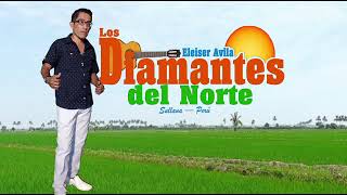 Video voorbeeld van "SANJUANITOS INOLVIDABLES - LOS DIAMANTES DEL NORTE"