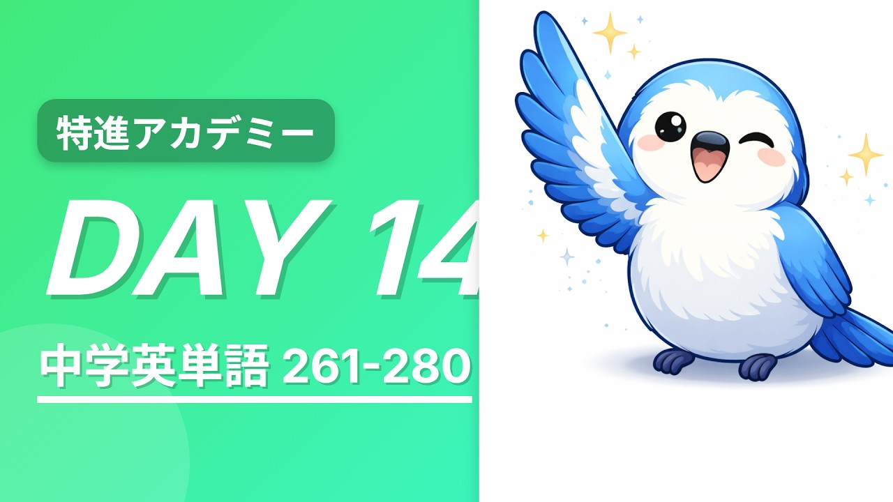 声に出して覚える中学重要英単語1000 ～ Day14 #中学英語 #英単語