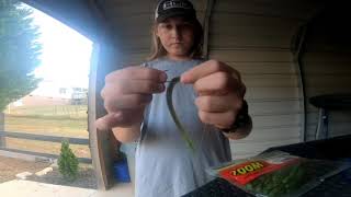 Quik tip 3 ( weedless worm) screenshot 3