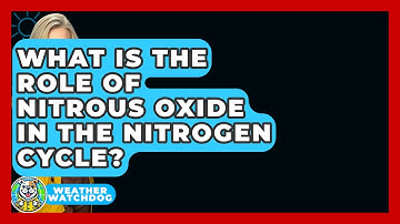 What Is The Role Of Nitrous Oxide In The Nitrogen Cycle? - Weather Watchdog