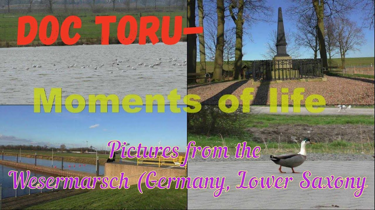 Die Wesermarsch Traumhafter Urlaub - Entspannende Ansichten & Musik: Ochtum, Storchenstation u.v.m.