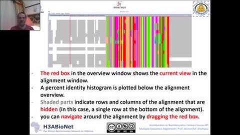 IBT 2017: S2 Lec3 Navigation in Cursor mode 2017