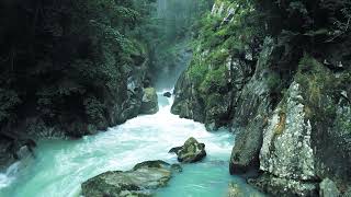 "Harmony of Raindrops and Waterfalls: Tranquil Clouds and Tree Serenity | Relaxing Nature Music"
