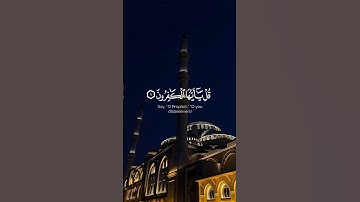 لكم دينكم ولي دين || سورة الكافرون كاملة#محمد_اللحيدان