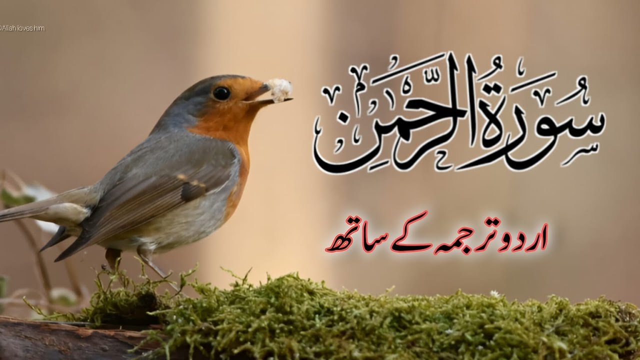 Surah Rahman Urdu Tarjuma k Sath🌿 | Qari Al Sheikh Abdul Basit Abdul Samad | Allah Loves Him