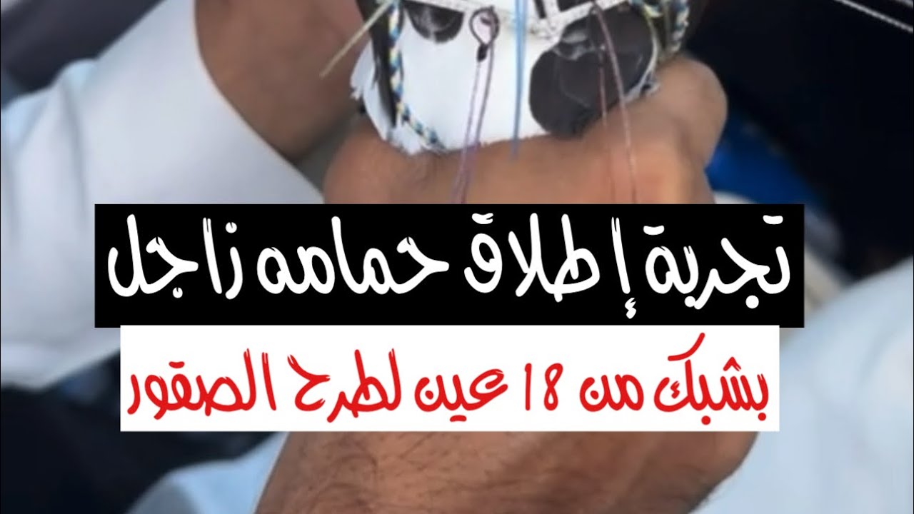 تجارب الشبك بالساحل الغربي