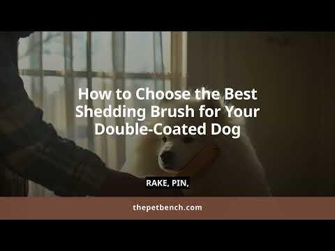 Watch: The Ultimate Guide to the Best Shedding Brush for Dogs with Double Coats: Top 7 Picks & Expert Advice