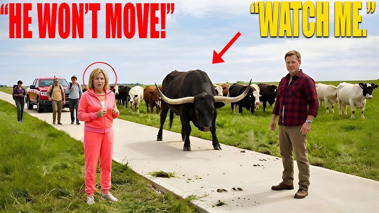 “HOA Built a Bike Path Through My Pasture — Forgetting It Was Active Cattle Land!”