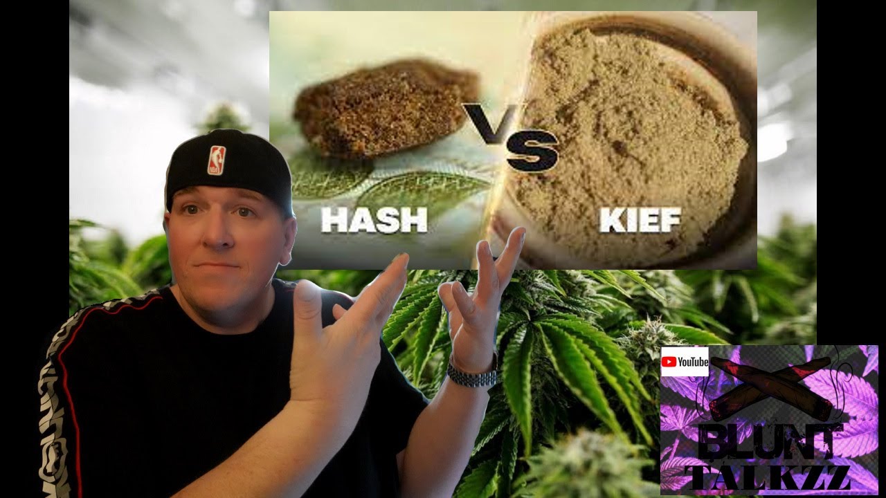 Hash VS Kief : What's The Difference