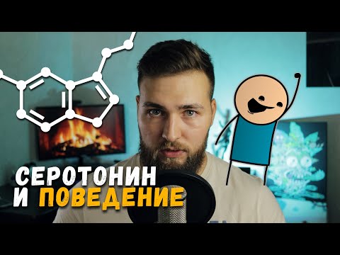 Удовольствие И Счастье Дофамин И Серотонин