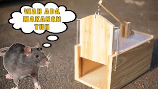 Cara Membuat Jebakan TIkus dari Kayu | Wooden Mouse Trap
