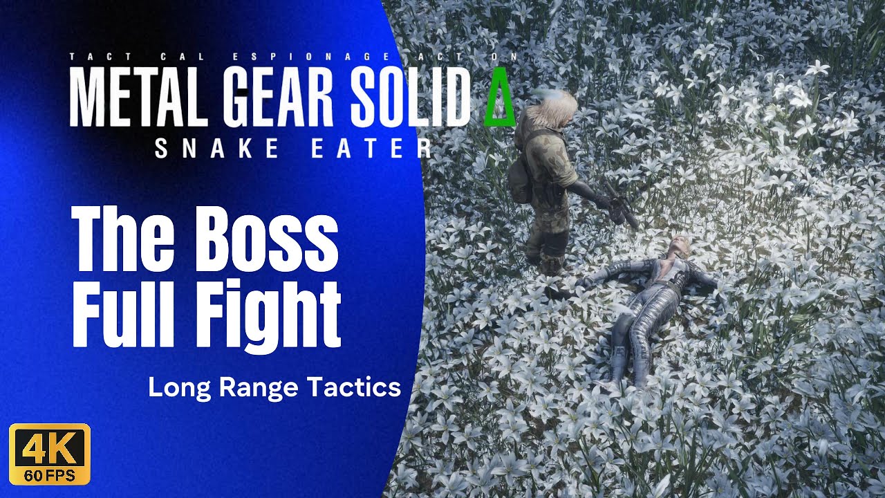 Long Range Tactics to Defeat the BOSS 