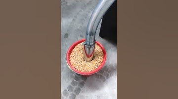 Self priming grinder